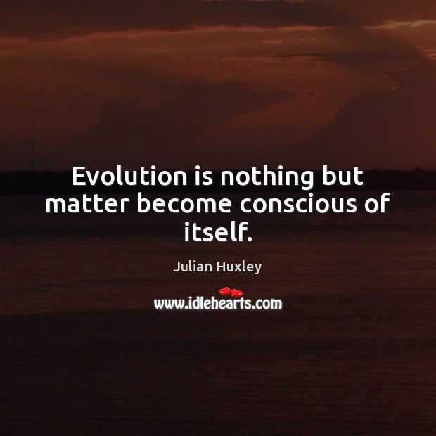 Evolution is nothing but matter become conscious of itself. Julian Huxley Picture Quote