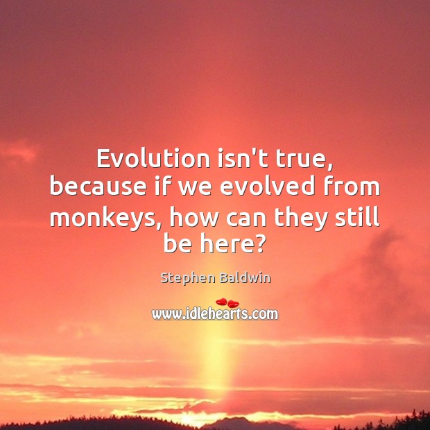 Evolution isn’t true, because if we evolved from monkeys, how can they still be here? Stephen Baldwin Picture Quote