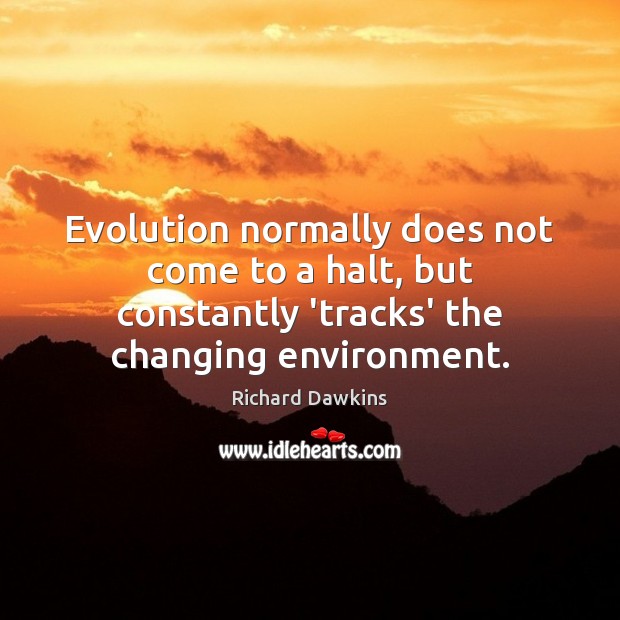 Evolution normally does not come to a halt, but constantly ‘tracks’ the Image