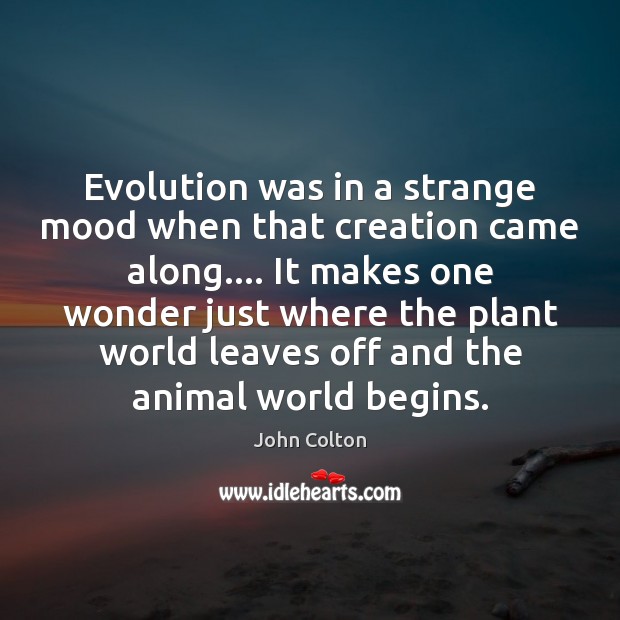 Evolution was in a strange mood when that creation came along…. It 