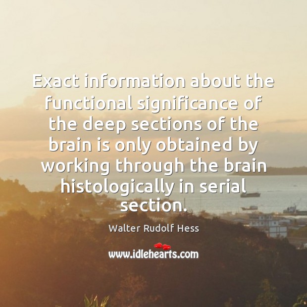 Exact information about the functional significance of the deep sections of the Walter Rudolf Hess Picture Quote