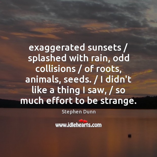 Exaggerated sunsets / splashed with rain, odd collisions / of roots, animals, seeds. / I Stephen Dunn Picture Quote