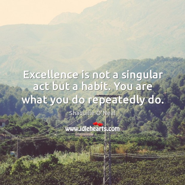 Excellence is not a singular act but a habit. You are what you do repeatedly do. Image