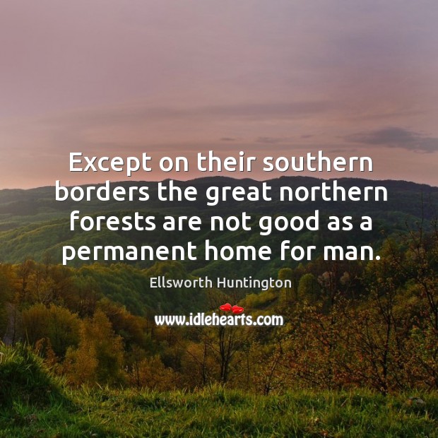 Except on their southern borders the great northern forests are not good as a permanent home for man. Ellsworth Huntington Picture Quote