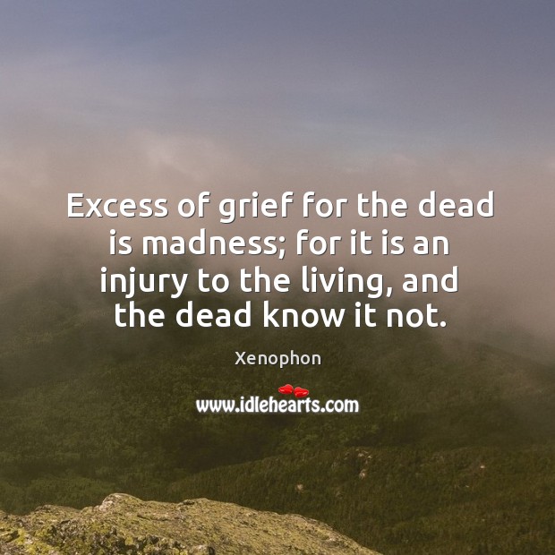 Excess of grief for the dead is madness; for it is an injury to the living, and the dead know it not. Xenophon Picture Quote