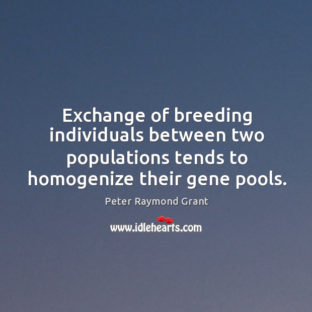 Exchange of breeding individuals between two populations tends to homogenize their gene pools. Peter Raymond Grant Picture Quote