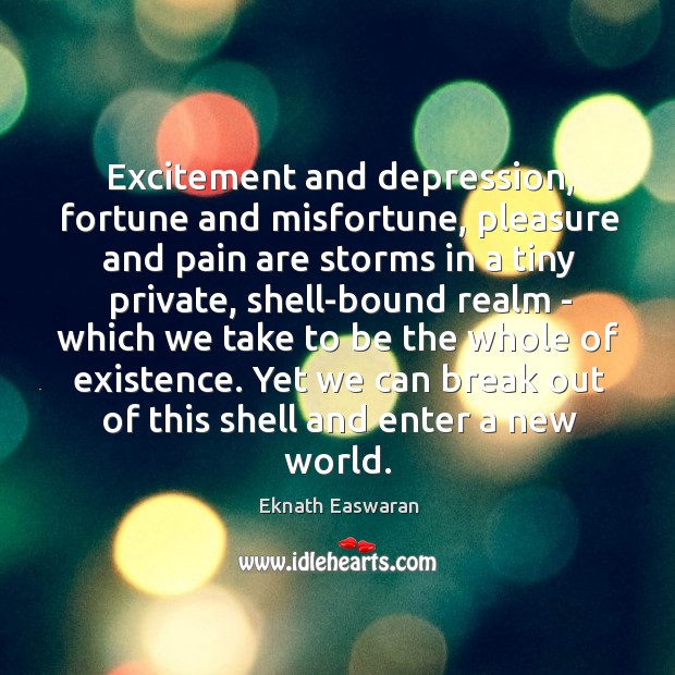 Excitement and depression, fortune and misfortune, pleasure and pain are storms in Eknath Easwaran Picture Quote