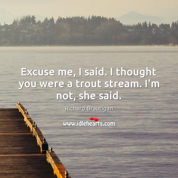 Excuse me, I said. I thought you were a trout stream. I’m not, she said. Image