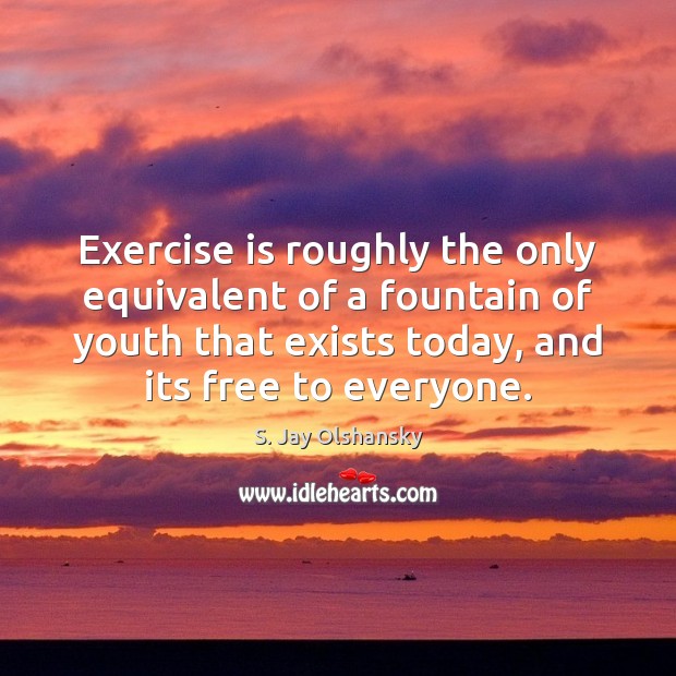 Exercise is roughly the only equivalent of a fountain of youth that S. Jay Olshansky Picture Quote
