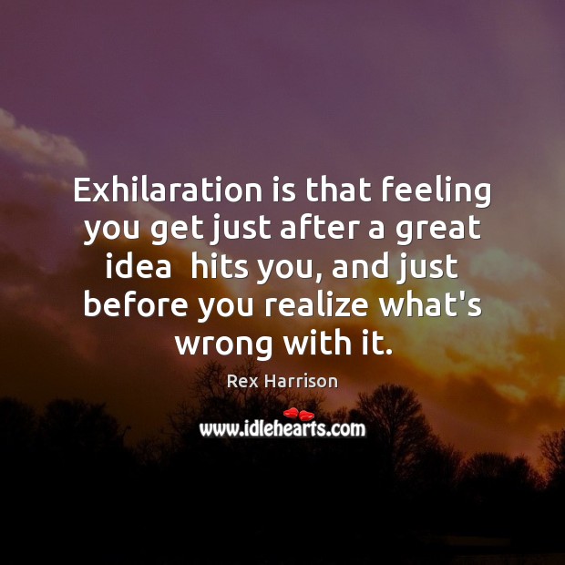 Exhilaration is that feeling you get just after a great idea  hits Realize Quotes Image
