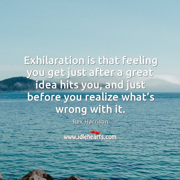 Exhilaration is that feeling you get just after a great idea hits you, and just before you realize what’s wrong with it. Rex Harrison Picture Quote