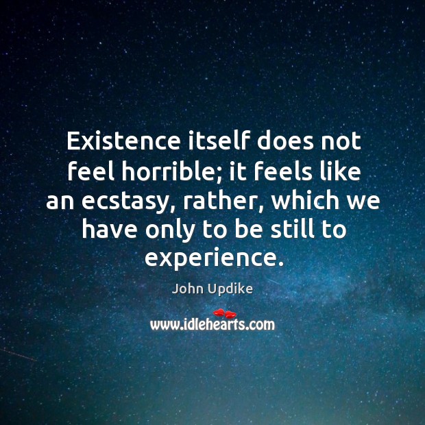 Existence itself does not feel horrible; it feels like an ecstasy, rather John Updike Picture Quote
