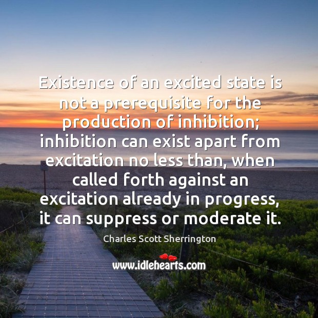 Existence of an excited state is not a prerequisite for the production of inhibition Charles Scott Sherrington Picture Quote