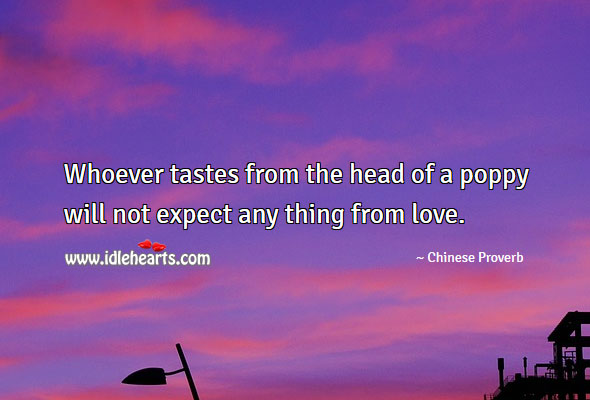 Whoever tastes from the head of a poppy will not expect any thing from love. Image
