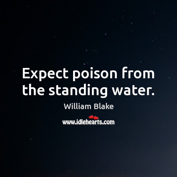 Expect poison from the standing water. William Blake Picture Quote