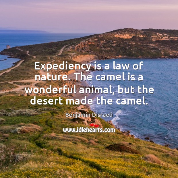 Expediency is a law of nature. The camel is a wonderful animal, Image