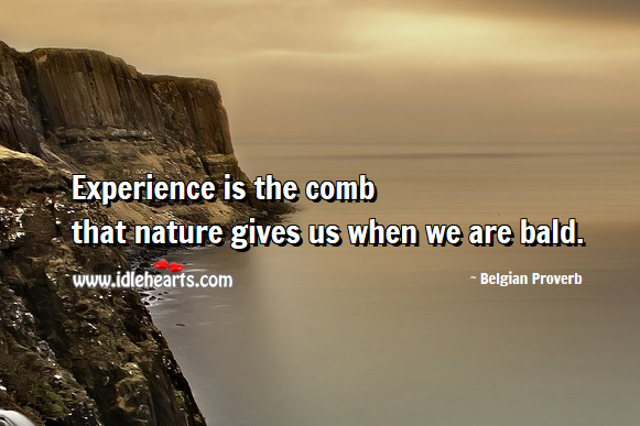 Experience is the comb that nature gives us when we are bald. Belgian Proverbs Image