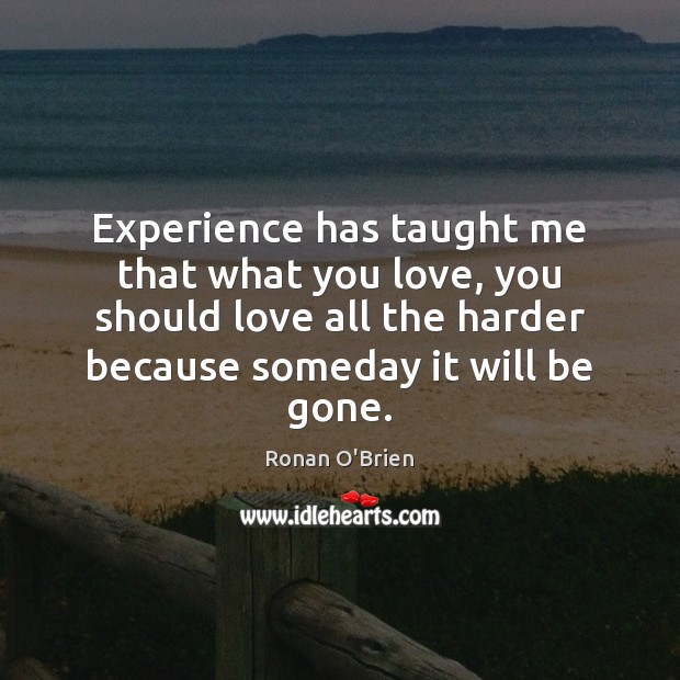 Experience has taught me that what you love, you should love all Ronan O’Brien Picture Quote