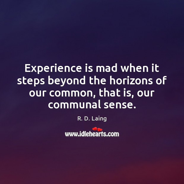 Experience is mad when it steps beyond the horizons of our common, R. D. Laing Picture Quote