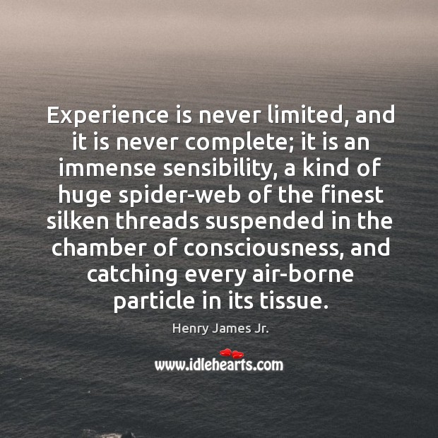 Experience is never limited, and it is never complete; Henry James Jr. Picture Quote