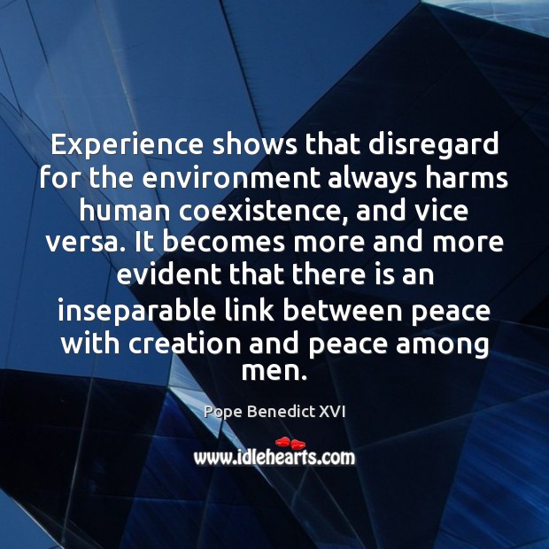 Experience shows that disregard for the environment always harms human coexistence, and Image
