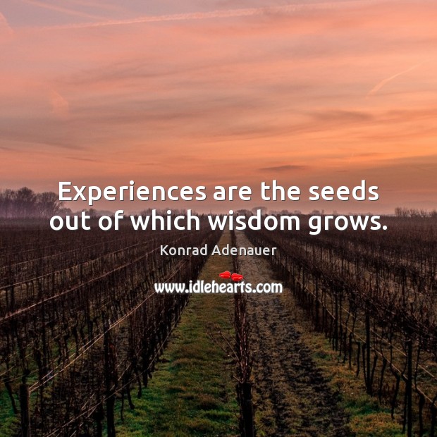 Experiences are the seeds out of which wisdom grows. Image