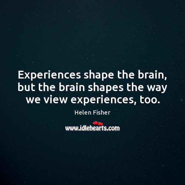 Experiences shape the brain, but the brain shapes the way we view experiences, too. Helen Fisher Picture Quote