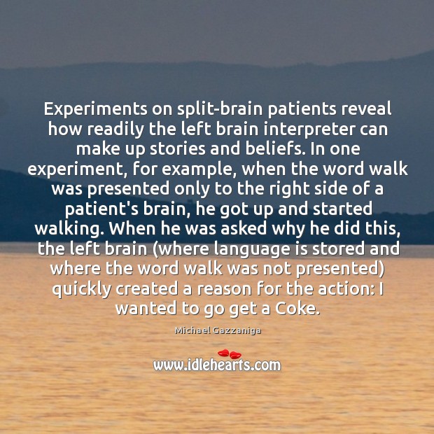 Experiments on split-brain patients reveal how readily the left brain interpreter can Michael Gazzaniga Picture Quote