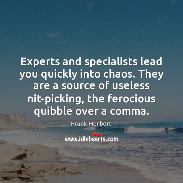 Experts and specialists lead you quickly into chaos. They are a source Image