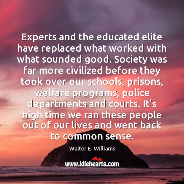 Experts and the educated elite have replaced what worked with what sounded Walter E. Williams Picture Quote
