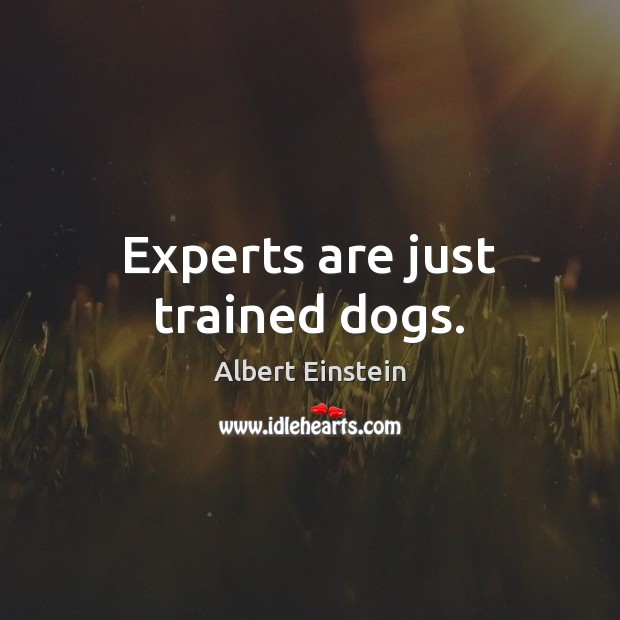 Experts are just trained dogs. Image