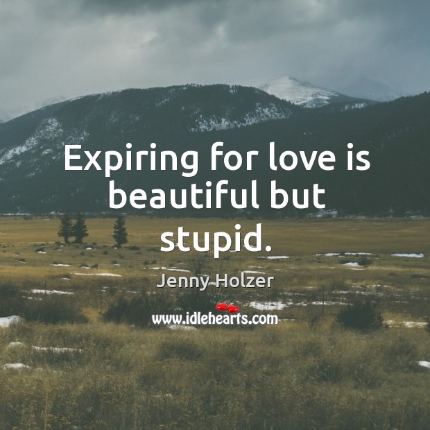 Expiring for love is beautiful but stupid. Jenny Holzer Picture Quote
