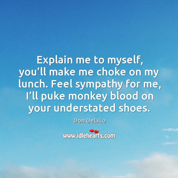 Explain me to myself, you’ll make me choke on my lunch. Don DeLillo Picture Quote