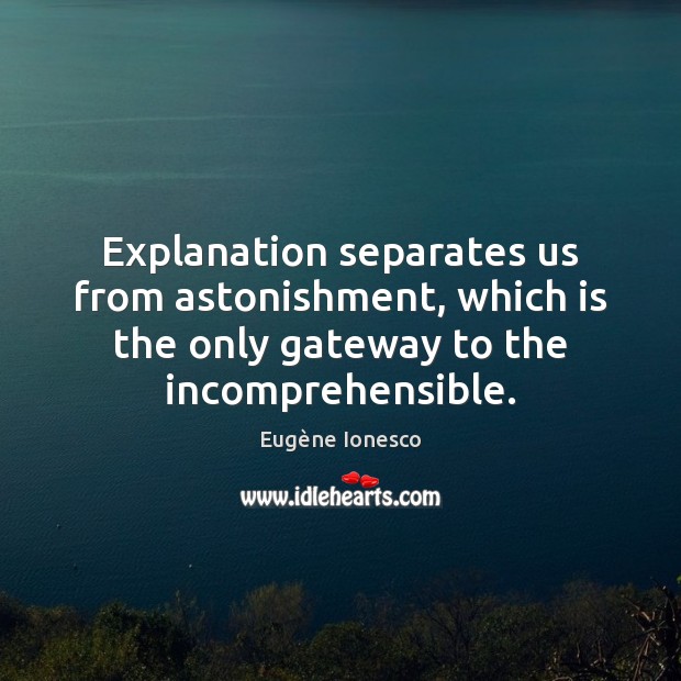 Explanation separates us from astonishment, which is the only gateway to the Image