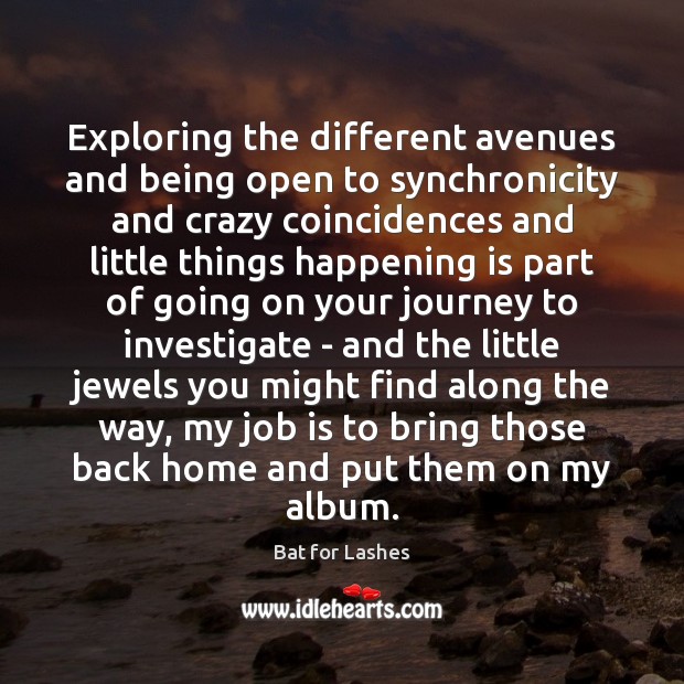 Exploring the different avenues and being open to synchronicity and crazy coincidences Bat for Lashes Picture Quote