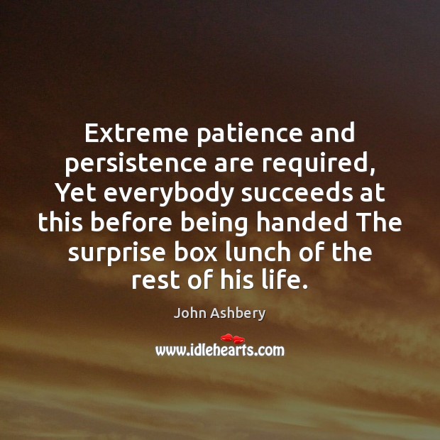 Extreme patience and persistence are required, Yet everybody succeeds at this before John Ashbery Picture Quote