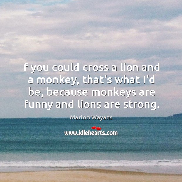 F you could cross a lion and a monkey, that’s what I’d Marlon Wayans Picture Quote