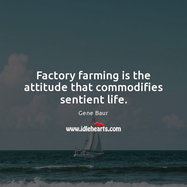 Factory farming is the attitude that commodifies sentient life. Image