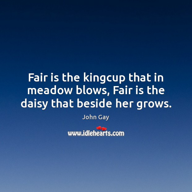 Fair is the kingcup that in meadow blows, Fair is the daisy that beside her grows. John Gay Picture Quote