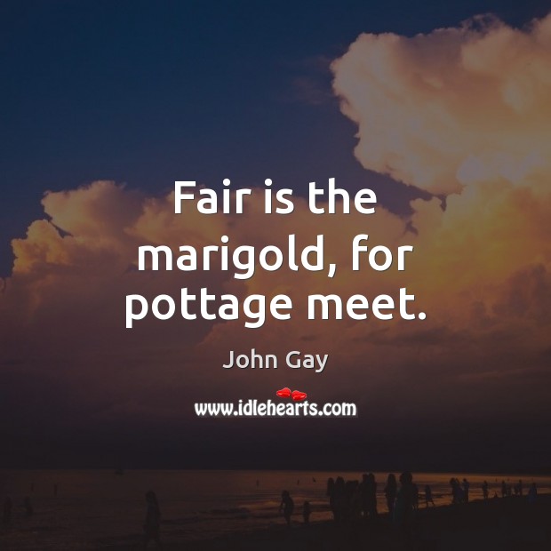 Fair is the marigold, for pottage meet. John Gay Picture Quote