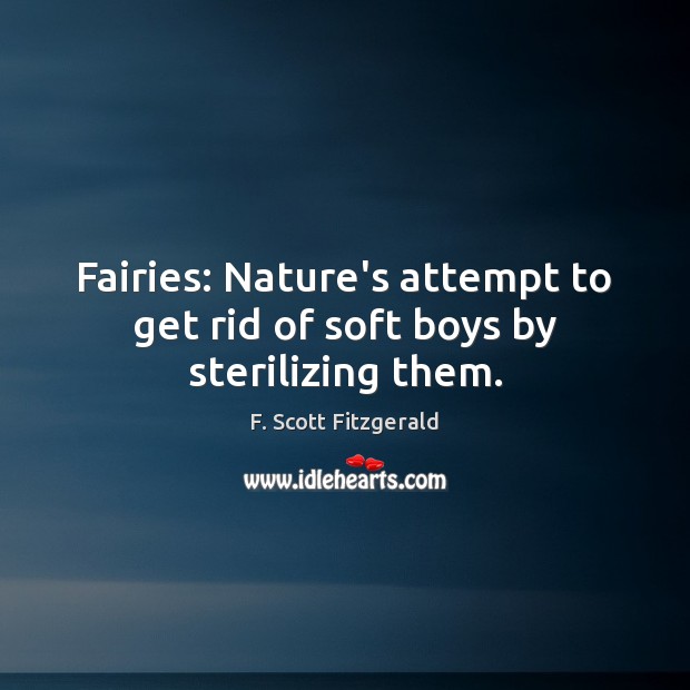 Fairies: Nature’s attempt to get rid of soft boys by sterilizing them. F. Scott Fitzgerald Picture Quote