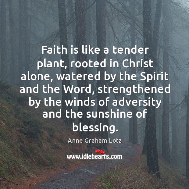 Faith is like a tender plant, rooted in Christ alone, watered by Anne Graham Lotz Picture Quote