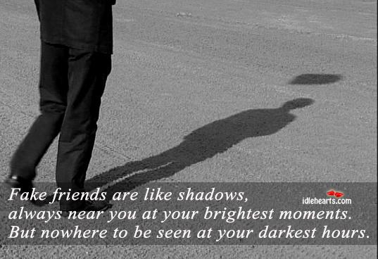 Fake friends are like shadows Image