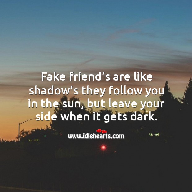 Fake friend’s are like shadow’s they follow you in the sun, but leave your side when it gets dark. Image