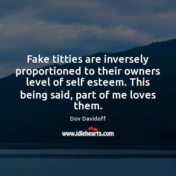 Fake titties are inversely proportioned to their owners level of self esteem. Image