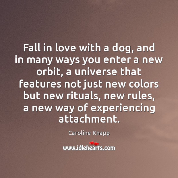 Fall in love with a dog, and in many ways you enter Caroline Knapp Picture Quote