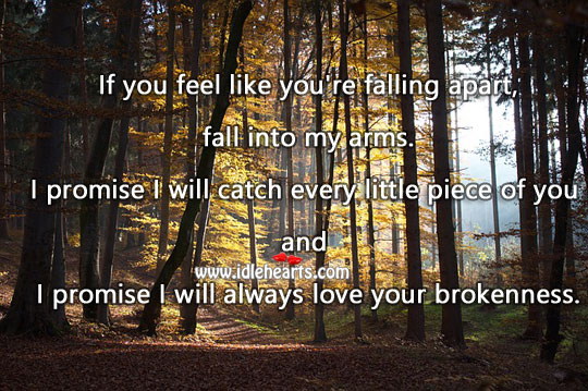 If you feel like you’re falling apart, fall into my arms. Promise Quotes Image