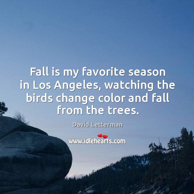 Fall is my favorite season in los angeles, watching the birds change color and fall from the trees. David Letterman Picture Quote