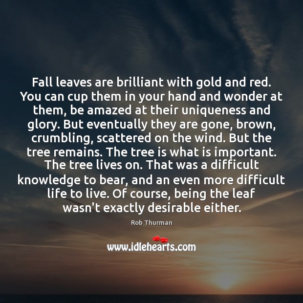 Fall leaves are brilliant with gold and red. You can cup them Rob Thurman Picture Quote