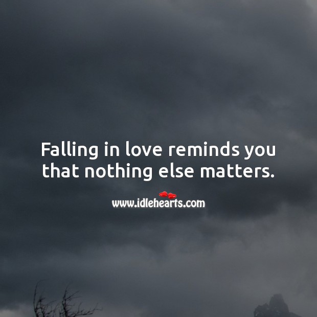 Falling in love reminds you that nothing else matters. 